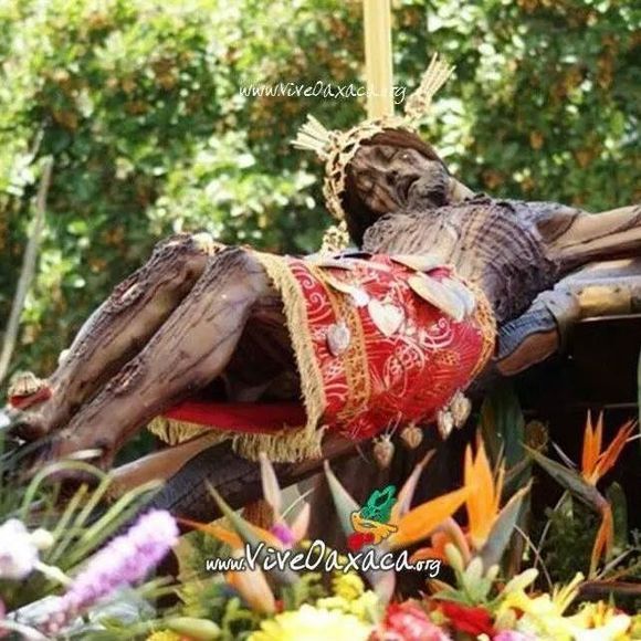 Meet your Posher, Aaron - Picture 1 of 1